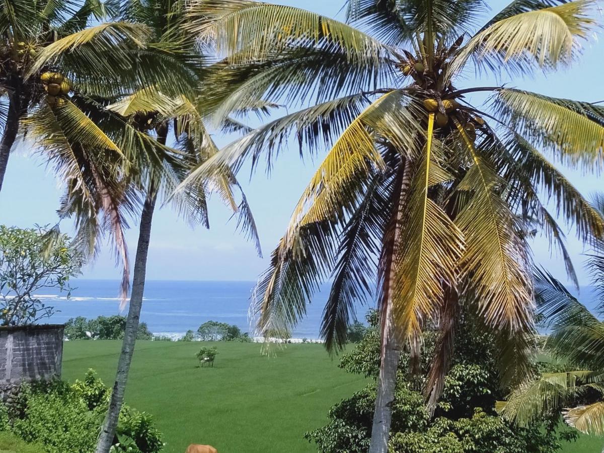 Medewi Beach View Villa Jembrana  Exterior photo